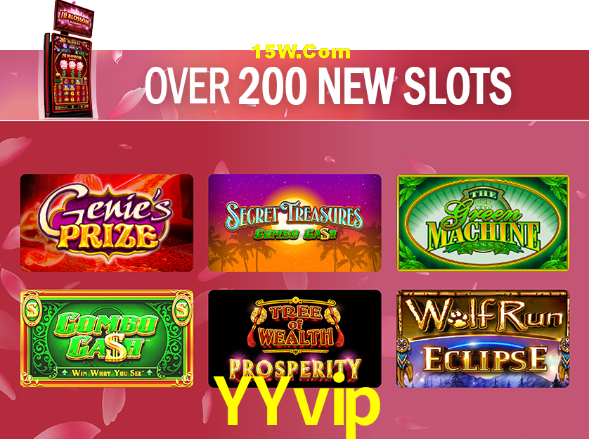 Bonus Features YYvip